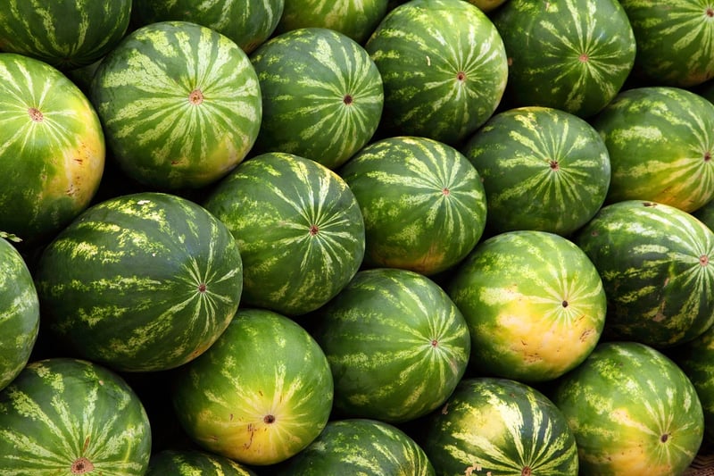 Plant-Based Foods